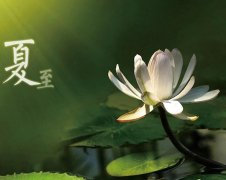 夏至節(jié)氣，廣西強壽藥業(yè)集團提醒您注意防暑降溫