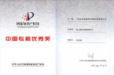 中國專利優(yōu)秀獎